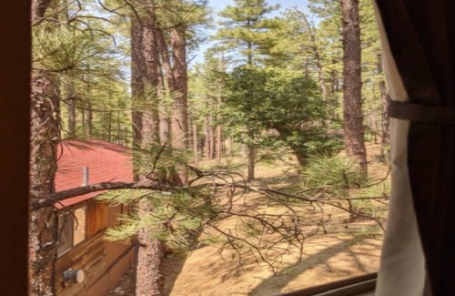 Prescott House | F4 Fresh Air Woods Cabin with Picnic Tables
