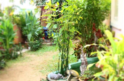 Chiang Mai House | Fa Ham Village Homestay