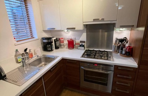 Greenwich West Apartment | Fabulous apartment close Cutty Sark,river,restaurants,shops,Royal Park and more
