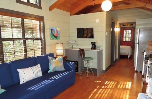 Brevard Cabin | Fabulous Cabin Near Falls, Hiking, and Fly-Fishing
