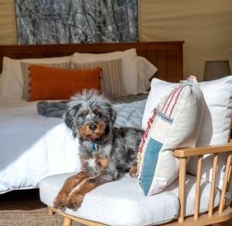 South Haven Other | Fabulous Michigan Glamping Getaway near South Haven