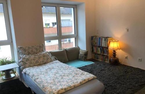 Roedelheim Apartment | Fair City center Frankfurt