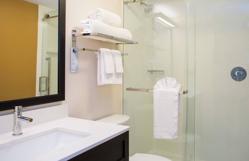 Middleborough Hotel | Fairfield by Marriott Inn & Suites Raynham Middleborough/Plymouth