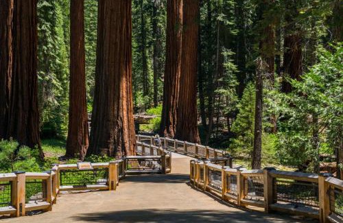 Oakhurst Hotel | Fairfield Inn & Suites by Marriott Oakhurst Yosemite