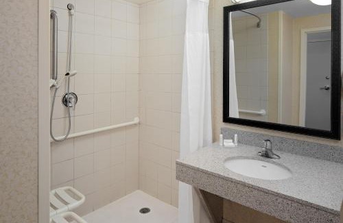 Romulus Hotel | Fairfield Inn & Suites by Marriott Detroit Metro Airport Romulus