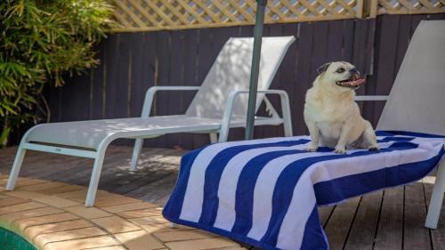 Sawtell House | Fairways Beach House - Pool, Golf, Sawtell Village, Family Friendly