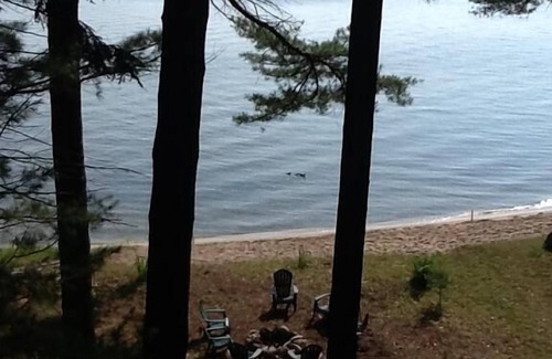 Ludington House | Falconhurst: Cottage on lake near town and dunes!