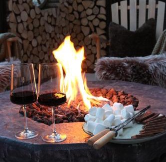 Falkau Apartment | Falkaunest cozy Apartment mit Sauna am Feldberg