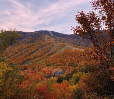 Gilford House | Fall Foliage Gunstock Mt 8 Mins Pets Hiking