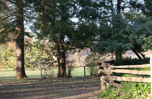 Fall River Mills House | Fall River Fishing House Access & Beautiful Views Await You