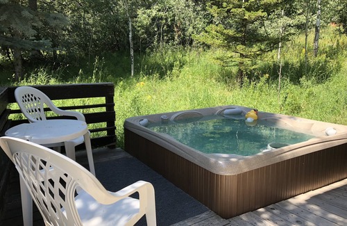 Teton Village Ski Chalet | Fall special! Fun Great room, Hot tub,PoolTable, Foosball, wildlife