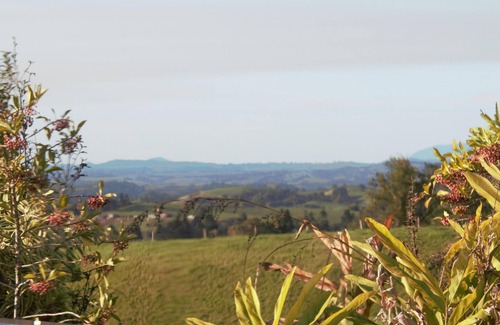 Millaa Millaa Bed & Breakfast | Falls Teahouse B&B