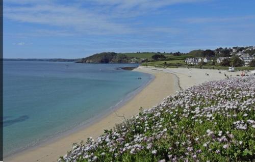 Maenporth House | Falmouth House near the Sea