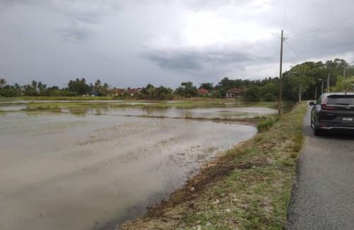 Pasir Mas Villa | Familia Homestay Tepi Sawah