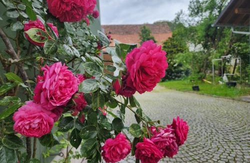 Kirchlauter Apartment | Familienfreundlich im Naturpark Haßberge mit gehobener Gastronomie