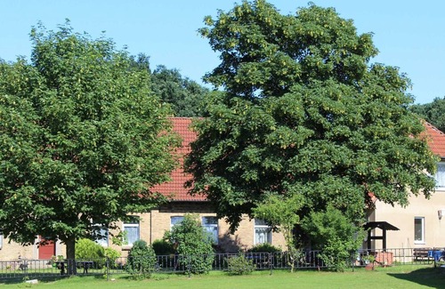 Luebz Apartment | Familienzimmer 4 Pers. - Ferienhof Berit Botschatzke