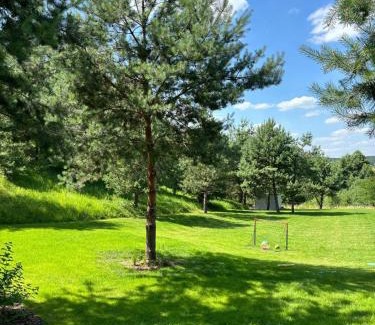 Gorzno Apartment | Familijny domek nad jeziorem