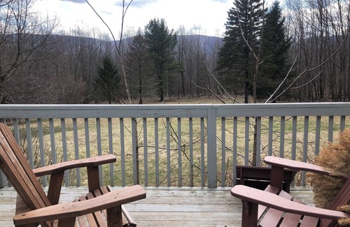 Prattsville House | Family and dog friendly Catskills