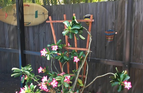 Gulfport Cottage | Family and dog friendly beach cottage w/pool & grill in quaint seaside village