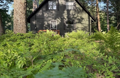 Moorestown Cottage | Family and Pet Friendly Cottage on the Manistee River