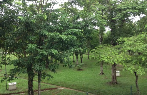 Acarau Apartment | Family apartment, quiet location, close to 4 beaches and the Itaguá neighborhood.