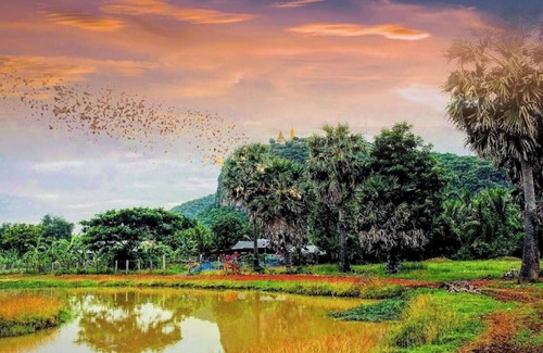 Banan House | Family Batcave Homestay