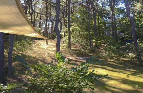 Indian Neck Heights Cottage | Family Beach House Close to Bay Beaches, Ponds