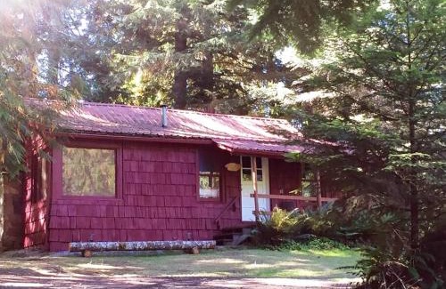 Ashford Apartment | Family Cabin at Rainier Lodge -0.4 m from entrance