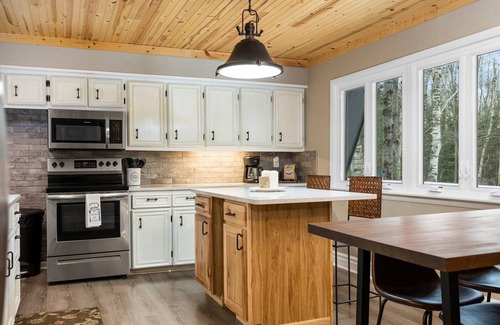Ellsworth Ski Chalet | Family Chalet w/Lake MI Access- Gameroom, Firepit, Walking Labyrinth