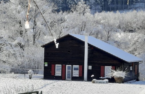 Ban-sur-Meurthe-Clefcy Cottage | Family-Friendly Chalet in Orchard with Modern Comforts & Spacious Terrace
