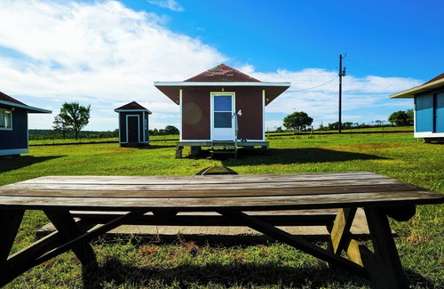 Plantersville Cabin | Family Farms Cabin 4 - Full + Twin Beds, Fire Pit, Fishing & Festival Nearby
