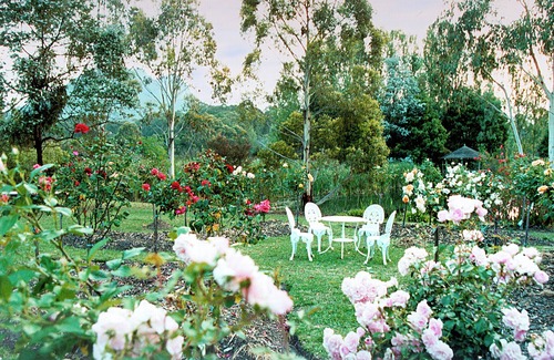 Taggerty Cottage | Family Focused Farmstay Nestled Amidst the Great Divide Range