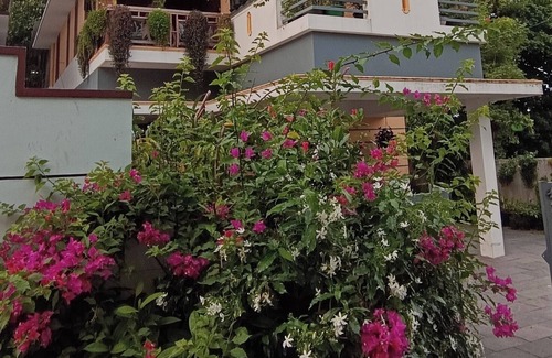 Thiruvananthapuram House | Family friendly Homestay with Homely food Near by Kovalam bypass Trivandrum