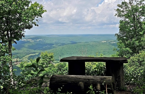Delhi House | Family-Friendly Adventure In the Catskills! Close to Bushel Collective!