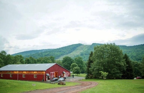 Delhi House | Family-Friendly Adventure In the Catskills! Close to Bushel Collective!