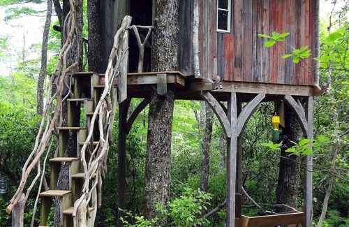Lake Toxaway Cabin | Family Friendly "Bunkhouse" - Close to Waterfalls