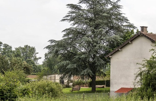 Mazirat Cottage | Family-Friendly Cottage with Garden, Near Thermal Baths and Lake Activities in Auvergne