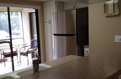 Oldsmar Condo | family friendly, gated community, two pools, lake outside back door.