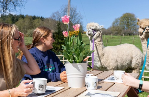 Bridge of Weir Cottage | Family friendly country barn cottage on rural farm surrounded by rolling hills
