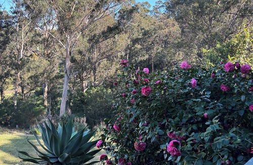 Merimbula House | Family friendly haven in the heart of the Sapphire Coast