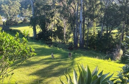 Merimbula House | Family friendly haven in the heart of the Sapphire Coast