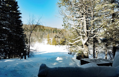 Chertsey Cabin | Family friendly lakefront cabin in charming Chertsey - spa & sauna