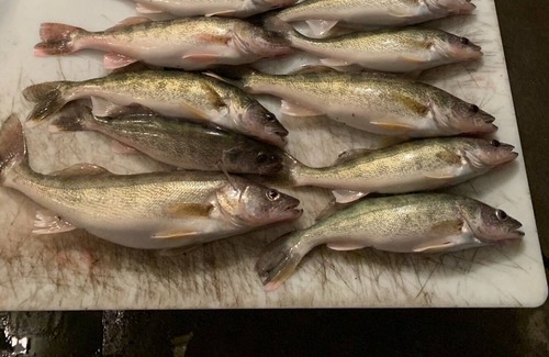 Minnewaukan Cabin | Family friendly or bring the boys for the fishing and hunting