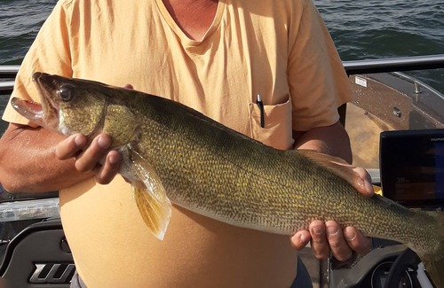 Minnewaukan Cabin | Family friendly or bring the boys for the fishing and hunting