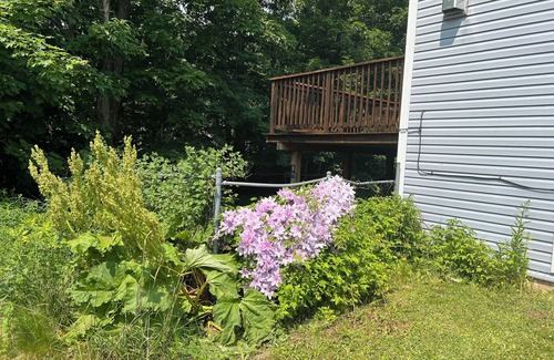 Charlottetown House | Family friendly suburban getaway just outside of down town Charlottetown