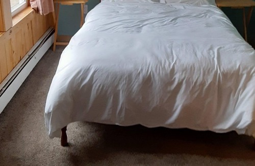 Nevis House | Family Friendly Two Bedroom Next To Paul Bunyan State Forest & Trails