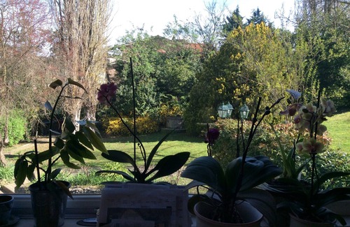 Siena Villa | Family friendly Villa with private garden, 30 min walk to city centre