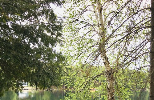 Armour Cottage | Family Friendly Waterfront Cottage on Three Mile lake