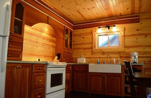 Elkins Cabin | "Family Fun by the River: Sleeps 9, Pet-Friendly Cabin!"