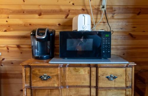 Elkins Cabin | "Family Fun by the River: Sleeps 9, Pet-Friendly Cabin!"